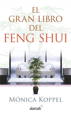Cover of the book El gran libro del Feng Shui by Méndez Vides