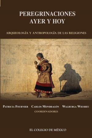 Cover of the book Peregrinaciones de ayer y hoy by Luzelena Gutiérrez de Velasco, Sergio Ugalde Quintana