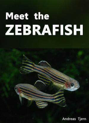 Cover of Meet the Zebrafish. A Short Guide to Keeping, Breeding and Understanding the Zebrafish (Danio rerio) in Your Home Aquarium