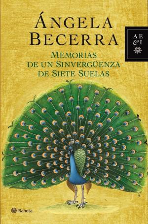 bigCover of the book Memorias de un sinvergüenza de siete suelas by 