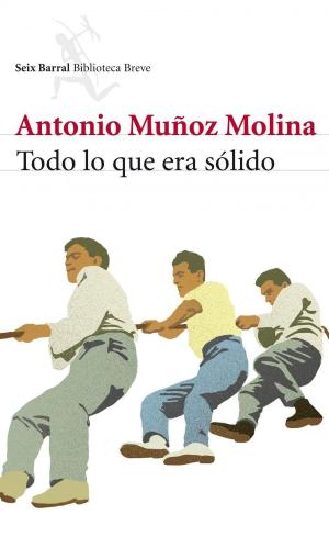 Cover of the book Todo lo que era sólido by Lina Galán