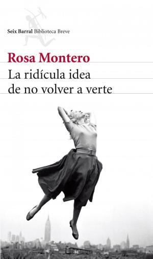 Cover of the book La ridícula idea de no volver a verte by Winter Morgan