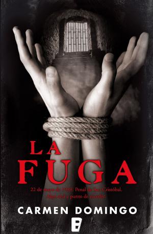 Cover of the book La fuga by Miguel Angel del Arco