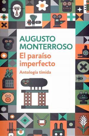Cover of the book El paraíso imperfecto by Maria Alinda Bonacci Brunamonti