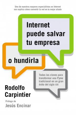 Cover of the book Internet puede salvar tu empresa... o hundirla by Care Santos