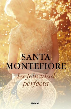Cover of the book La felicidad perfecta by Mª Carmen Martínez Tomás
