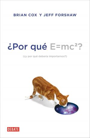 bigCover of the book ¿Por qué E=mc2? by 