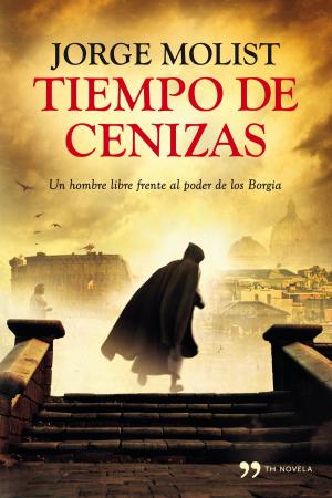 Book cover of Tiempo de cenizas