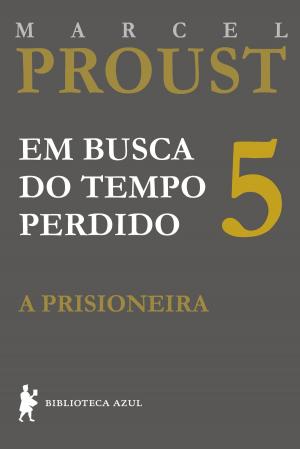 Book cover of A prisioneira