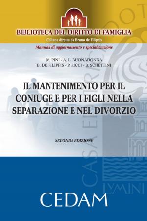 Cover of the book Il mantenimento per il coniuge e per i figli nella separazione e nel divorzio. Seconda edizione by CENDON PAOLO