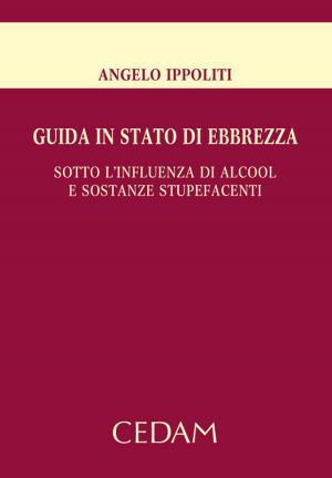 Cover of the book Guida in stato di ebbrezza by Caiafa Antonio, Romeo Simona (a cura di)