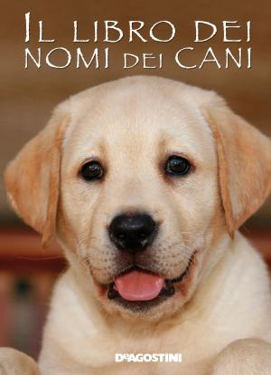 Cover of Il libro dei nomi dei cani