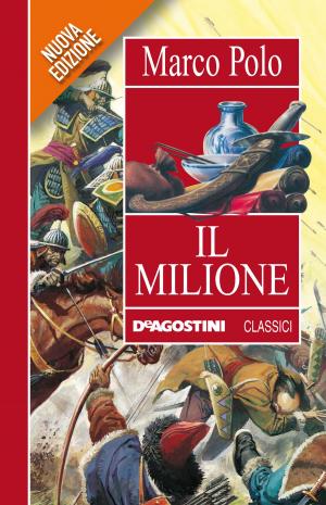 Cover of the book Il Milione by Paola Zannoner