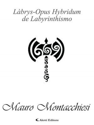 Cover of the book Làbrys-Opus Hybridum de Labyrinthismo by Piero Bonora