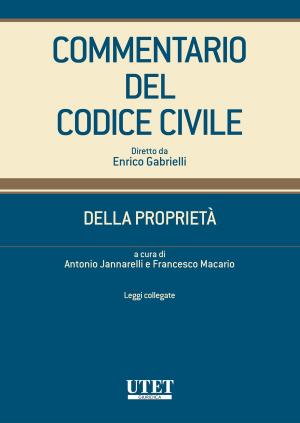 Cover of the book Della proprietà - Leggi collegate by Antonio Testa