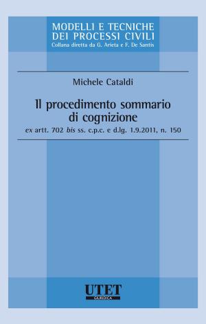 Cover of the book Il procedimento sommario di cognizione ex artt. 702 bis ss. c.p.c. e d.lg. 1,9,2011, n. 150 by Enzo Rossi