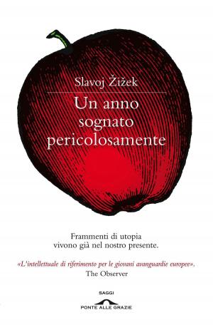 Cover of the book Un anno sognato pericolosamente by Nicola Campogrande