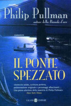 Cover of the book Il ponte spezzato by Martina Stoessel