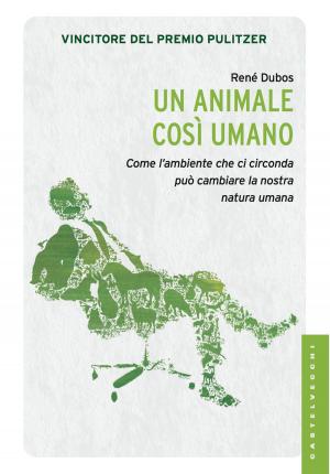 Cover of the book Un animale così umano by Donatella Alfonso