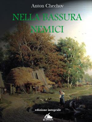 Book cover of Nella Bassura - Nemici