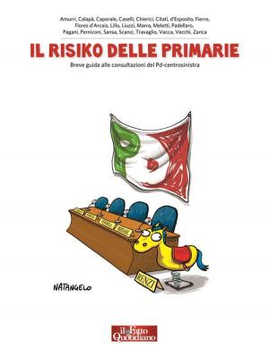 Cover of the book Il risiko delle primarie by Leconte de Lisle