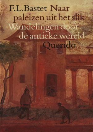 Cover of the book Naar paleizen uit het slik by Marietje d'Hane-SCheltema