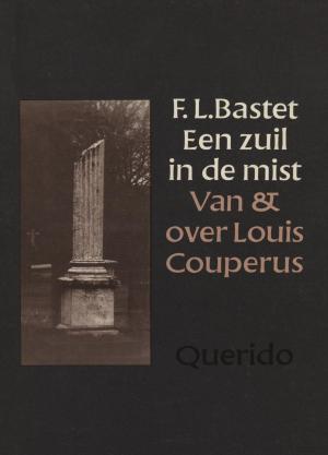 Cover of the book Een zuil in de mist by Nadine Ahr