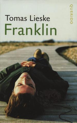 Cover of the book Franklin by Hella S. Haasse
