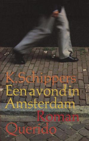Cover of the book Een avond in Amsterdam by Arnon Grunberg