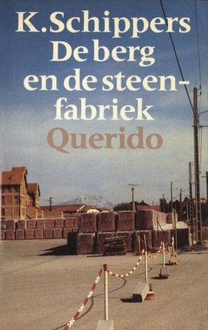 Cover of the book De berg en de steenfabriek by Tijs van den Boomen