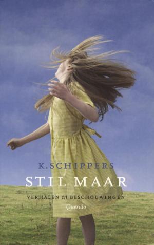 Cover of the book Stil maar by Toon Tellegen