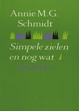 Cover of the book Simpele zielen en nog wat by Toon Tellegen