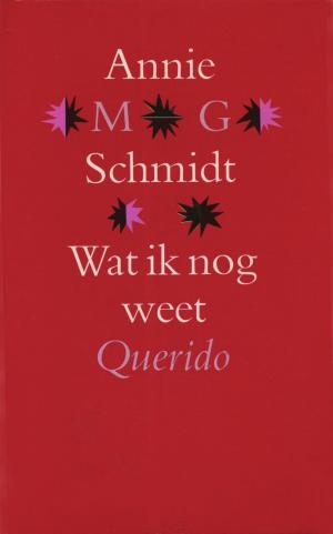 Cover of the book Wat ik nog weet by A.F.Th. van der Heijden