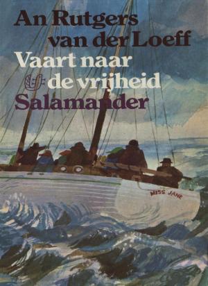 Cover of the book Vaart naar de vrijheid by Johan Fabricius