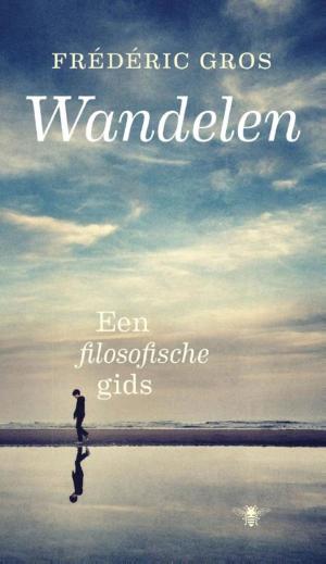 Cover of the book Wandelen by Youp van 't Hek