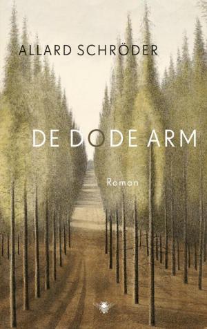 Cover of the book De dode arm by Peter Winnen