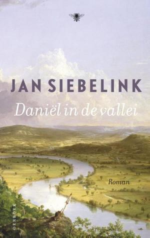 Cover of the book Daniel in de vallei by Robert MacFarlane