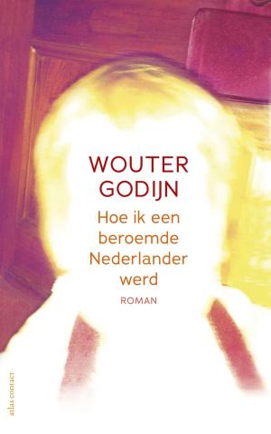 Cover of the book Hoe ik een beroemde Nederlander werd by Rob van Essen