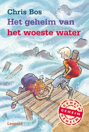 Book cover of Het geheim van het woeste water
