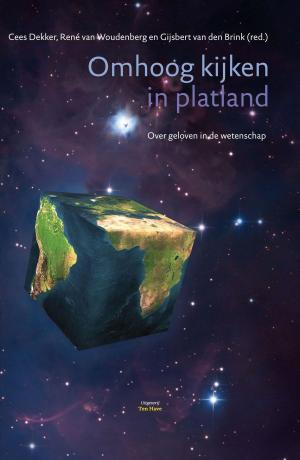 Cover of the book Omhoog kijken in platland by Ted Dekker