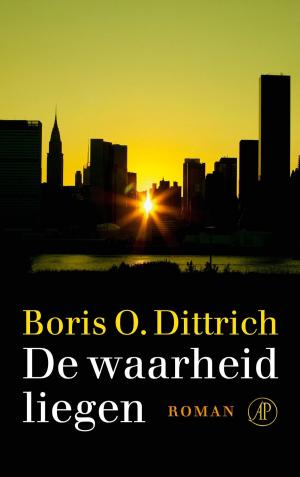 Cover of the book De waarheid liegen by Bibi Dumon Tak