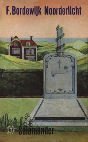 Cover of the book Noorderlicht by Michel Houellebecq