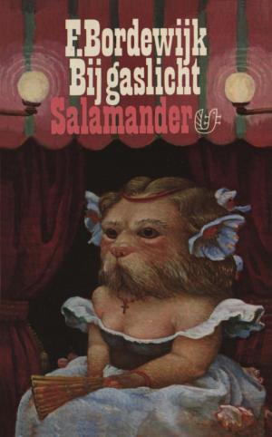 Book cover of Bij gaslicht