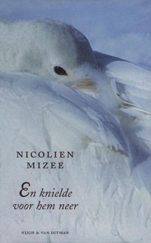 Cover of the book En knielde voor hem neer by Henning Mankell