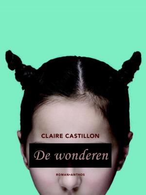 Book cover of De wonderen