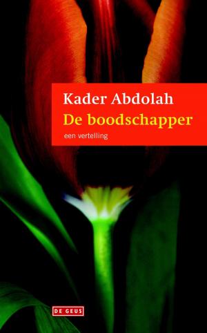 Cover of the book De boodschapper by Toon Tellegen