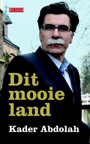 Cover of the book Dit mooie land by Patrick Modiano
