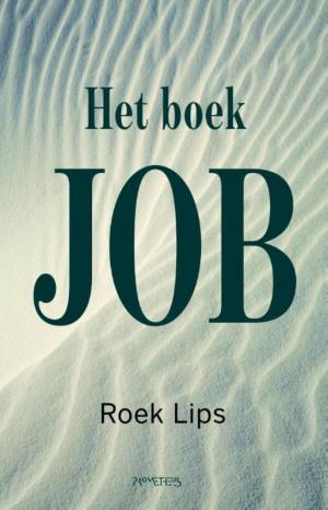 Cover of the book Het boek job by Sandro Veronesi