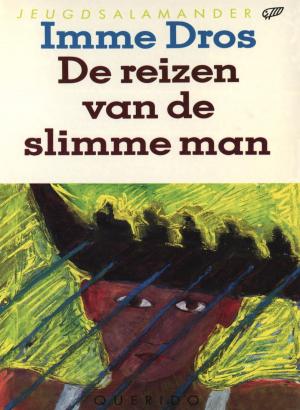 Cover of the book De reizen van de slimme man by Desiderius Erasmus