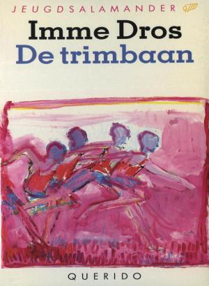 Cover of the book De trimbaan by Friedrich Dürrenmatt